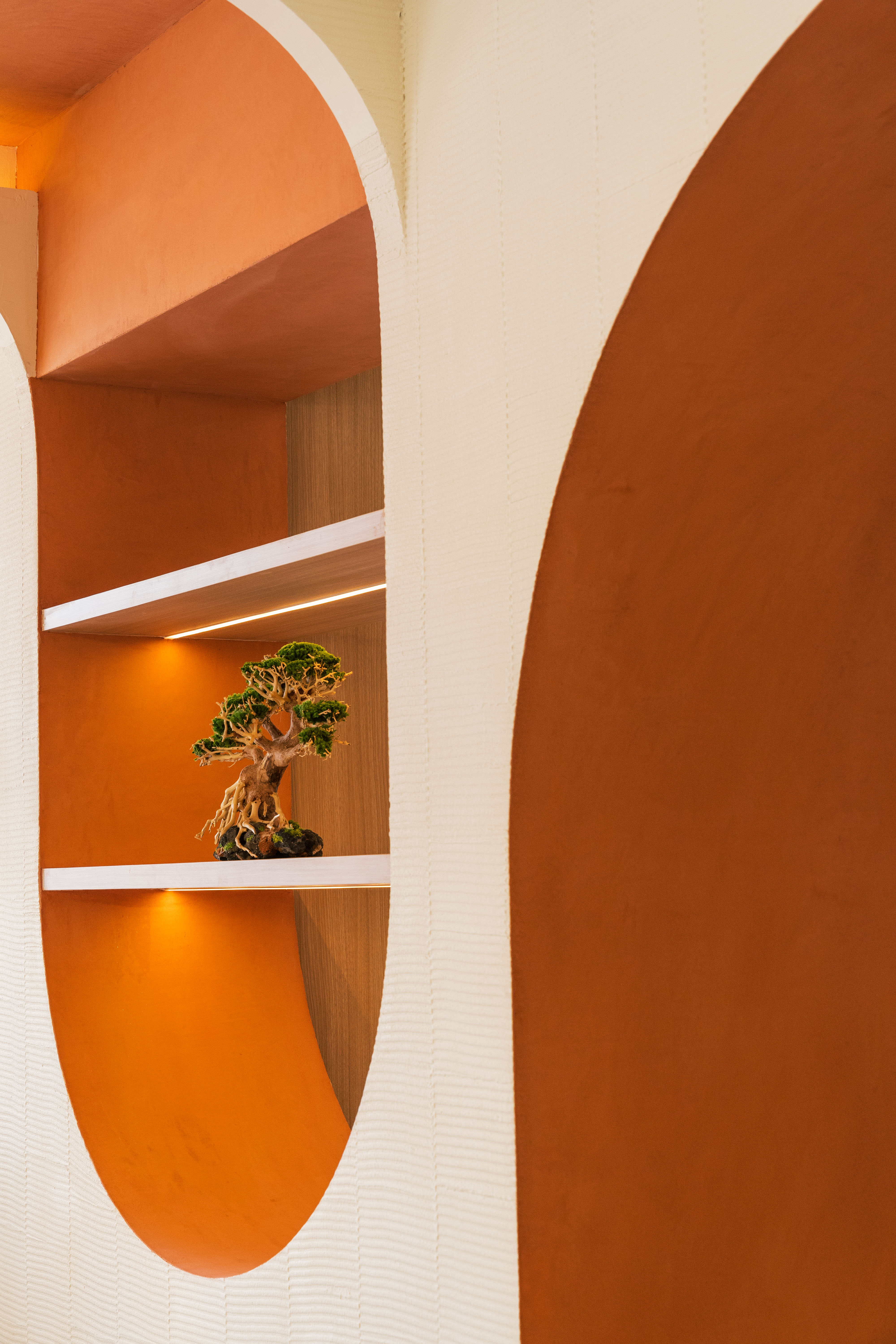 Architectural close-up of interlocking coral arches and cream curves framing an orange-lit shelving niche with a single bonsai